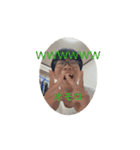 動くよせお（個別スタンプ：4）