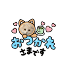 いやしのニャンコⅨ（個別スタンプ：14）