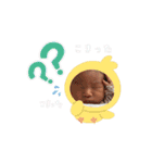 みあい(新生児)（個別スタンプ：6）