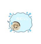 いやしのニャンコⅥ（個別スタンプ：7）