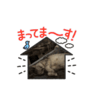 いやしのニャンコⅥ（個別スタンプ：15）