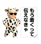 エッホエッホ うし柄 赤ちゃん 伝えなきゃ（個別スタンプ：15）