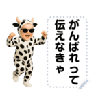 エッホエッホ うし柄 赤ちゃん 伝えなきゃ（個別スタンプ：16）