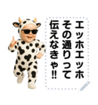 エッホエッホ うし柄 赤ちゃん 伝えなきゃ（個別スタンプ：20）