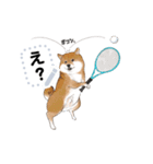 柴犬のテニス部ライフ（個別スタンプ：4）