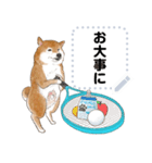 柴犬のテニス部ライフ（個別スタンプ：11）