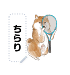 柴犬のテニス部ライフ（個別スタンプ：13）