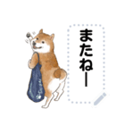 柴犬のテニス部ライフ（個別スタンプ：15）