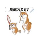 柴犬のテニス部ライフ（個別スタンプ：20）
