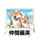 柴犬のテニス部ライフ（個別スタンプ：22）