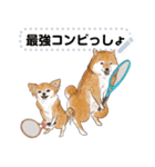 柴犬のテニス部ライフ（個別スタンプ：23）