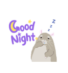 チンチラちゃんがいっぱい！【第一弾】（個別スタンプ：1）