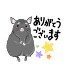 チンチラちゃんがいっぱい！【第一弾】（個別スタンプ：3）