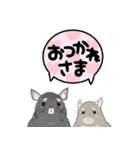 チンチラちゃんがいっぱい！【第一弾】（個別スタンプ：5）