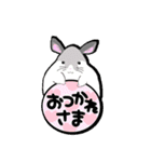 チンチラちゃんがいっぱい！【第一弾】（個別スタンプ：9）