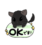 チンチラちゃんがいっぱい！【第一弾】（個別スタンプ：15）