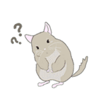 チンチラちゃんがいっぱい！【第一弾】（個別スタンプ：23）