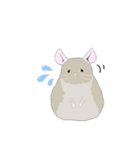 チンチラちゃんがいっぱい！【第一弾】（個別スタンプ：24）