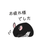 チンチラちゃんがいっぱい！【第一弾】（個別スタンプ：28）