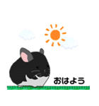 チンチラちゃんがいっぱい！【第一弾】（個別スタンプ：29）