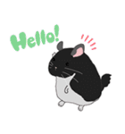 チンチラちゃんがいっぱい！【第一弾】（個別スタンプ：30）