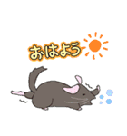 チンチラちゃんがいっぱい！【第一弾】（個別スタンプ：34）