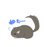 チンチラちゃんがいっぱい！【第一弾】（個別スタンプ：36）