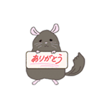 チンチラちゃんがいっぱい！【第一弾】（個別スタンプ：37）