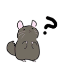チンチラちゃんがいっぱい！【第一弾】（個別スタンプ：38）