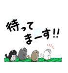 チンチラちゃんがいっぱい！【第一弾】（個別スタンプ：39）