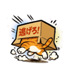 ツンデレ猫スネ吉の毎日スタンプ3 尾行編（個別スタンプ：31）