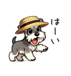 夏のシュナウザー（個別スタンプ：3）
