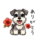 夏のシュナウザー（個別スタンプ：4）