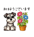 夏のシュナウザー（個別スタンプ：6）