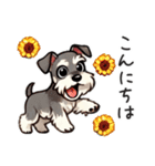 夏のシュナウザー（個別スタンプ：7）