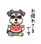 夏のシュナウザー（個別スタンプ：11）