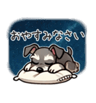 夏のシュナウザー（個別スタンプ：12）