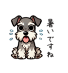 夏のシュナウザー（個別スタンプ：13）
