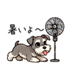 夏のシュナウザー（個別スタンプ：14）