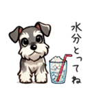 夏のシュナウザー（個別スタンプ：15）