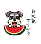 夏のシュナウザー（個別スタンプ：20）