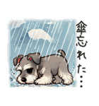 夏のシュナウザー（個別スタンプ：23）
