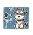 夏のシュナウザー（個別スタンプ：24）
