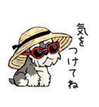 夏のシュナウザー（個別スタンプ：28）