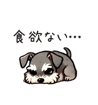 夏のシュナウザー（個別スタンプ：34）