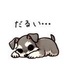 夏のシュナウザー（個別スタンプ：35）