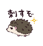 ハリネズミです.（個別スタンプ：1）