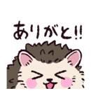 ハリネズミです.（個別スタンプ：24）