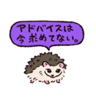 ハリネズミです.（個別スタンプ：29）