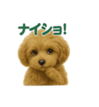 まろの毎日スタンプ（まるぷー♀）成長期（個別スタンプ：5）